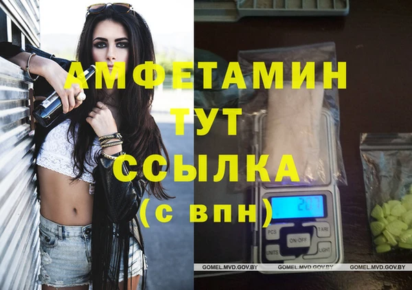 мдпв Вязьма