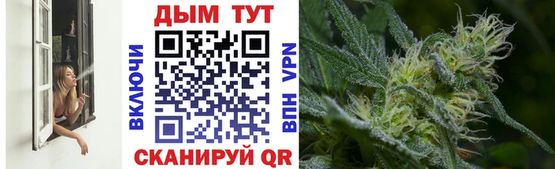 Купить закладки  Щигры  Бошки Шишки конопля 